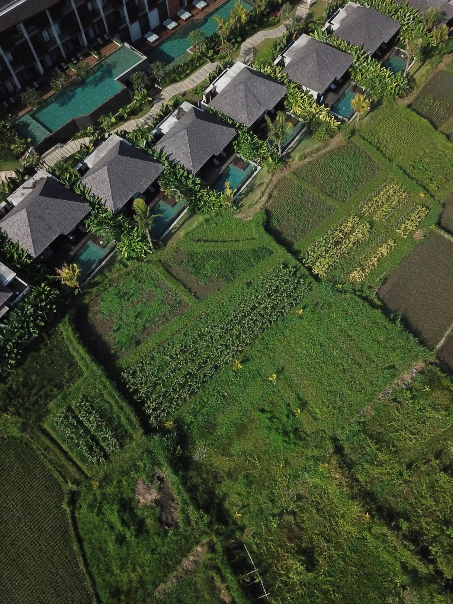 The Garcia Ubud Hotel & Resort Екстер'єр фото